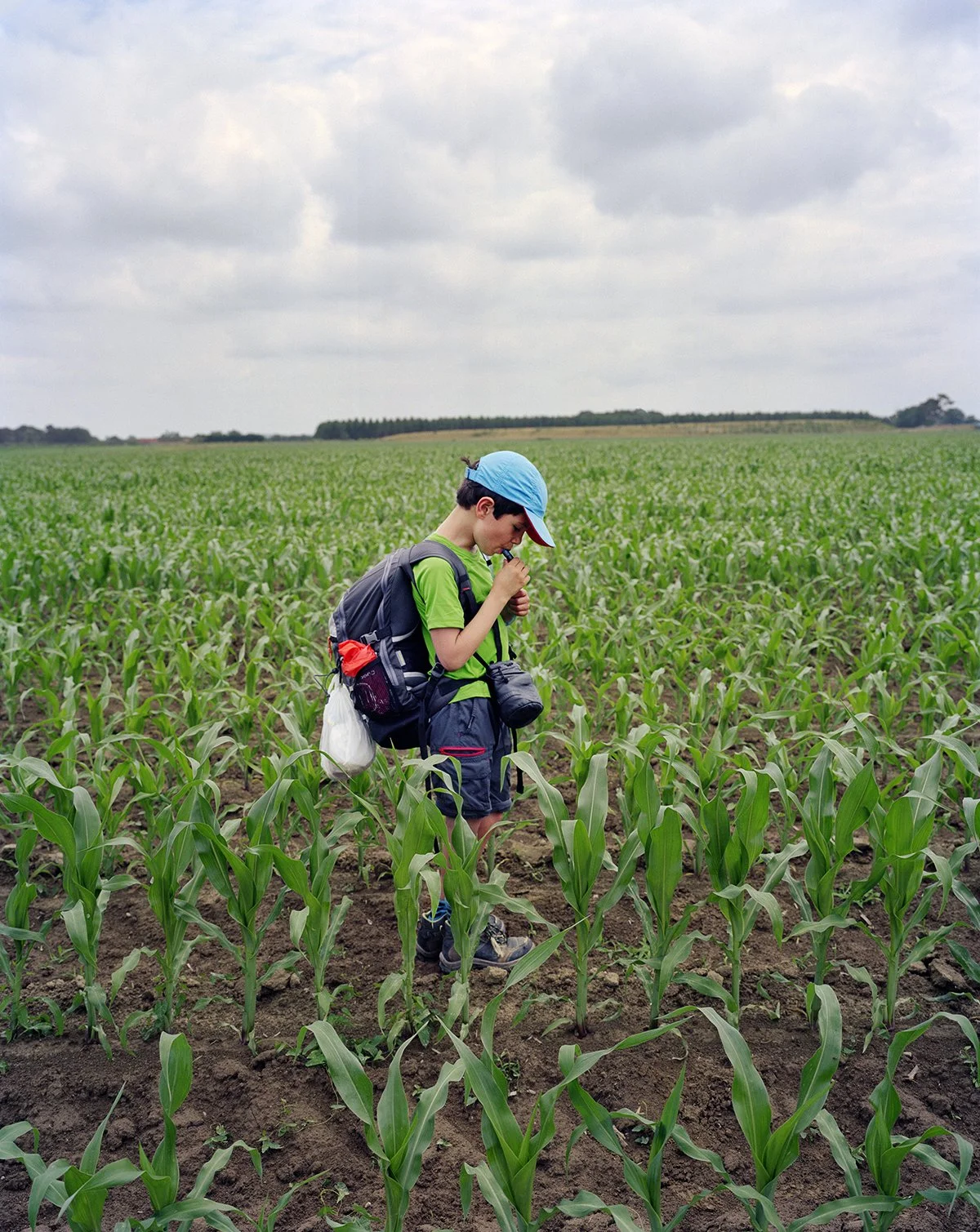 A boy in hiking clothes with a backpack examines corn leaves in an agricultural field under a cloudy sky.