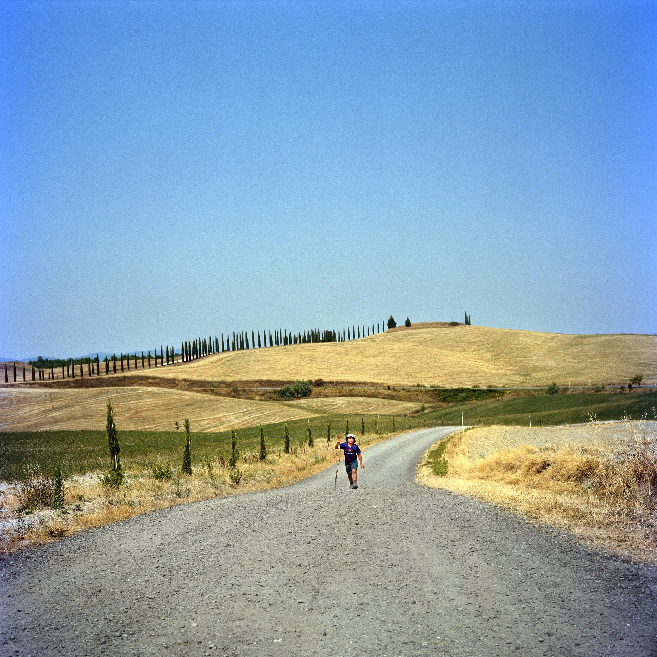 Young boy walking alone on a country road, surrounded by golden fields and hills with rows of trees, under a clear blue sky.