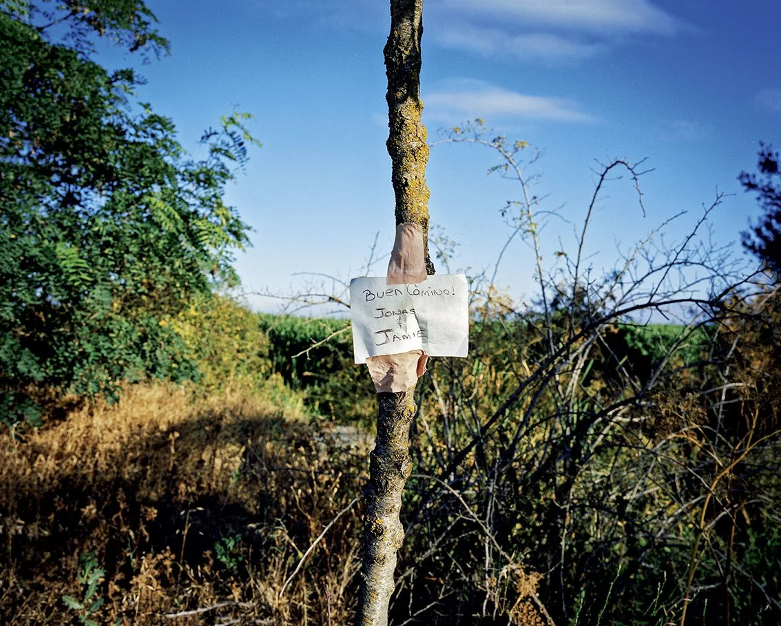 A tree with a handwritten message attached to its trunk, in an open field under a blue sky. The message reads "Buen Camino! Jonas and Jamie".