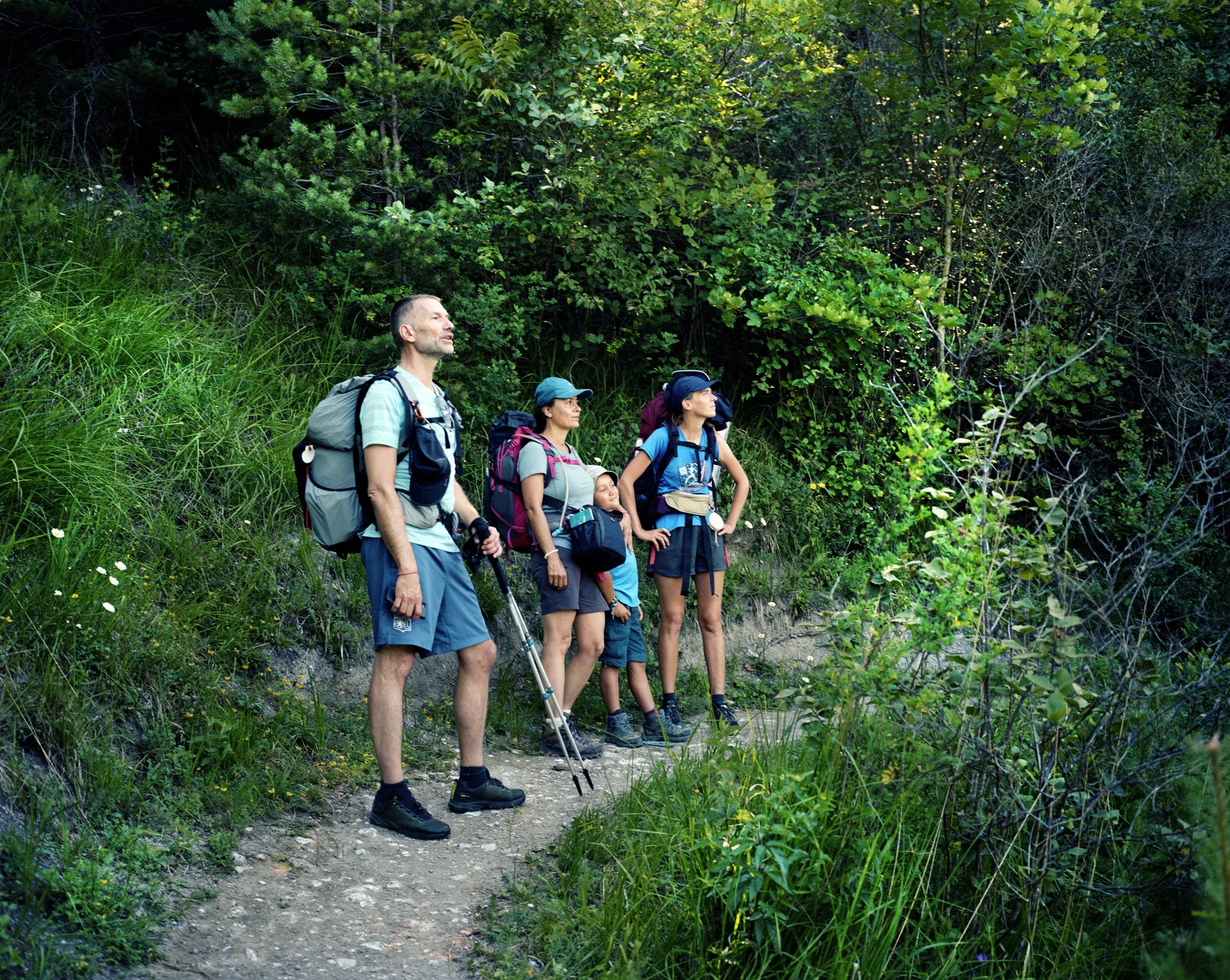 Group of five hiking on a forest trail, carrying backpacks and hiking clothes, surrounded by dense green vegetation.