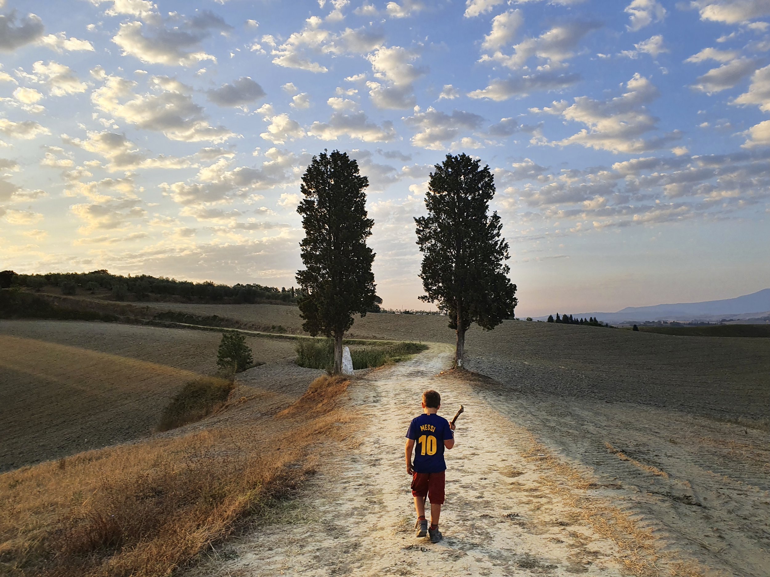 A child walking along a straight dirt path between two tall trees, with a cloudy sky at sunset.