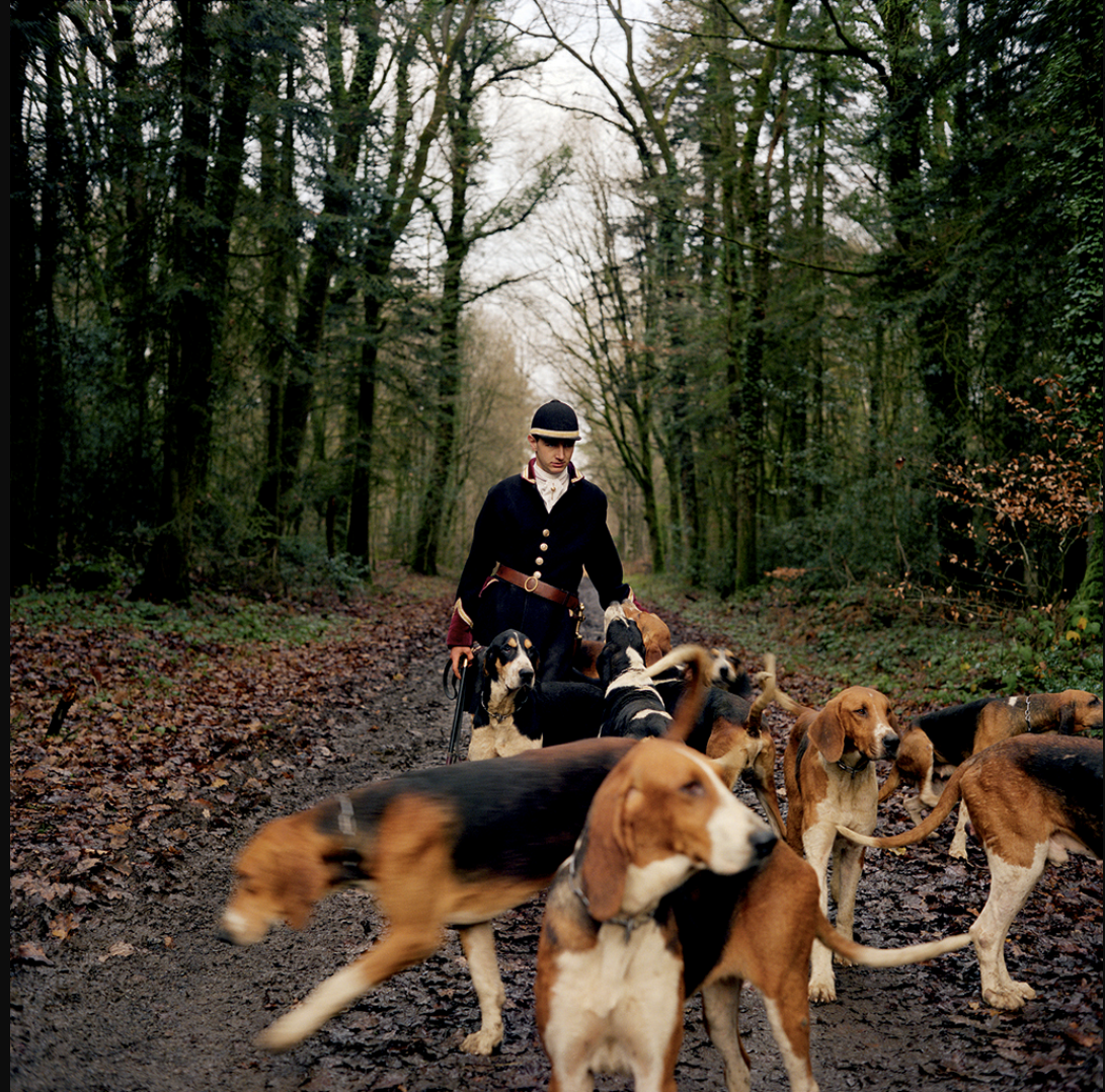 Un homme habillé en uniforme d'époque marche dans une forêt avec plusieurs chiens, probablement des beagles, lors d'une promenade ou une chasse. La forêt est dense avec des arbres et un sol couvert de feuilles mortes.