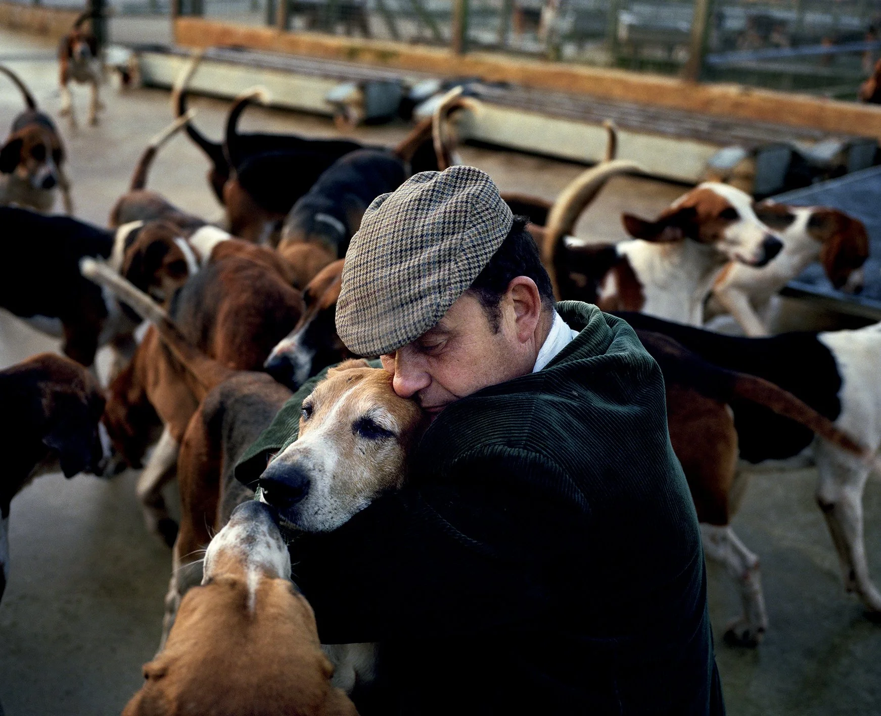 Un homme enveloppant un chien de famille dans ses bras, entouré d'autres chiens à l'intérieur d'un chenil.