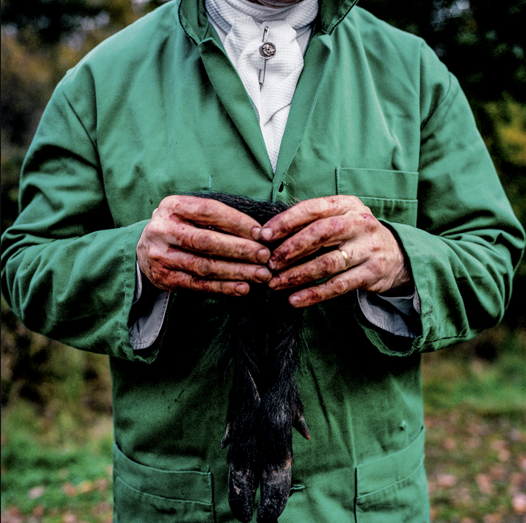Une personne en veste verte tient un oiseau noir dans ses mains.