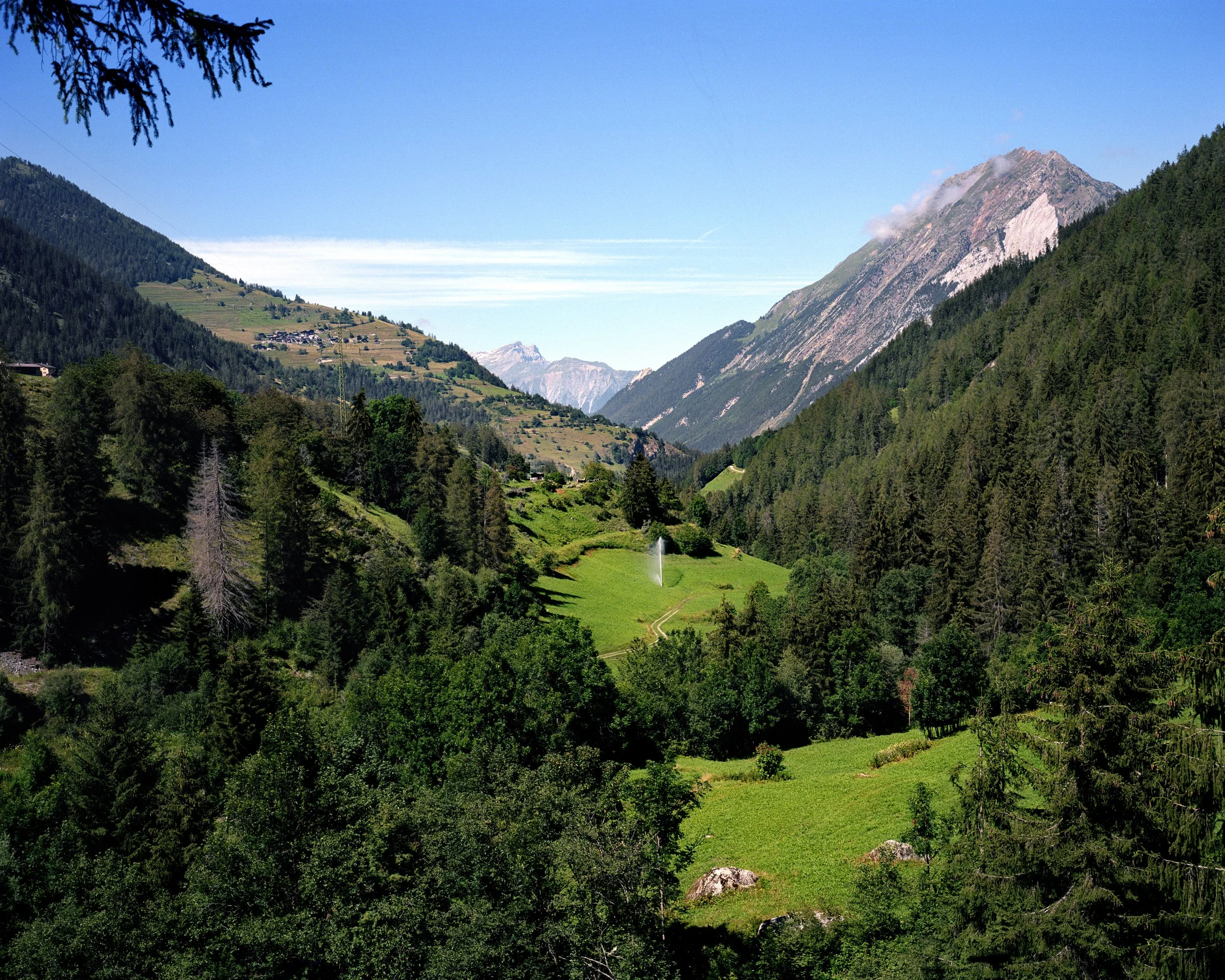 Mountain landscape with trees, green hills and snow-capped peaks in the distance, clear blue sky.