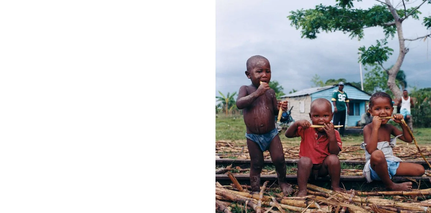 Trois jeunes enfants Assis et debout sur un radeau en bois, jouent avec des branches, dans un environnement rural avec une maison en arrière-plan et des arbres, sous un ciel nuageux.