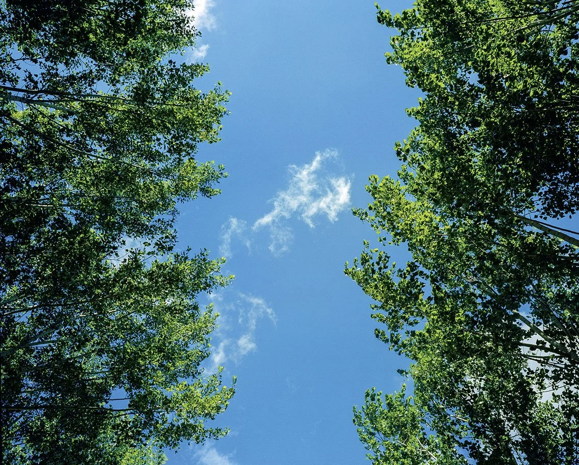 view from the sky upwards with a clear blue sky, a few white clouds, surrounded by green trees framing the view.