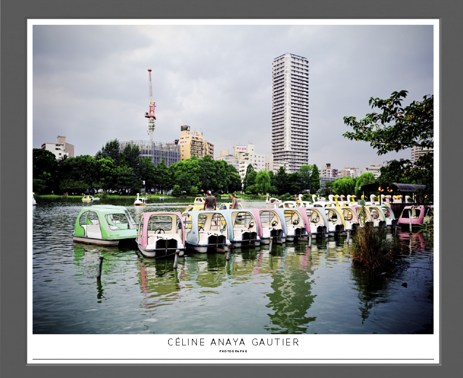 Colorful electric boats moored on an urban lake with skyscrapers in the background and green trees.