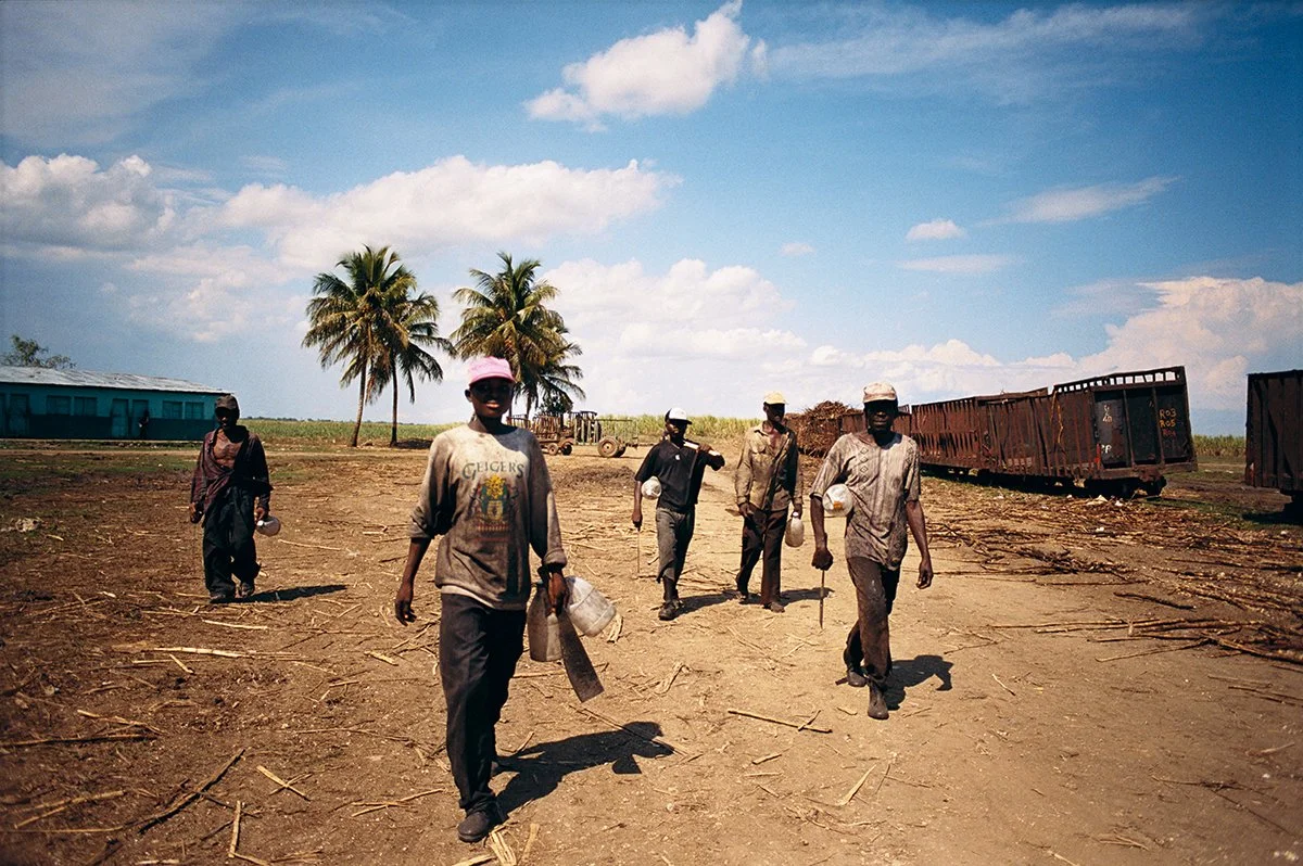 Group of people walking in a desert landscape with abandoned iron horses and palm trees in the background, blue sky with a few clouds.