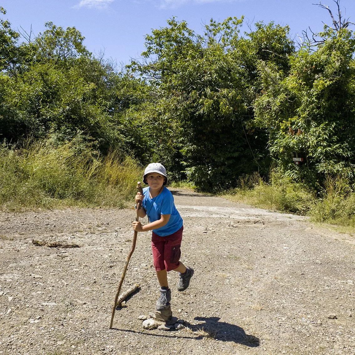 A child walks along a dusty forest path, carrying a wooden cane, wearing a blue T-shirt, white hat and red shorts, with green trees in the background and a blue sky.