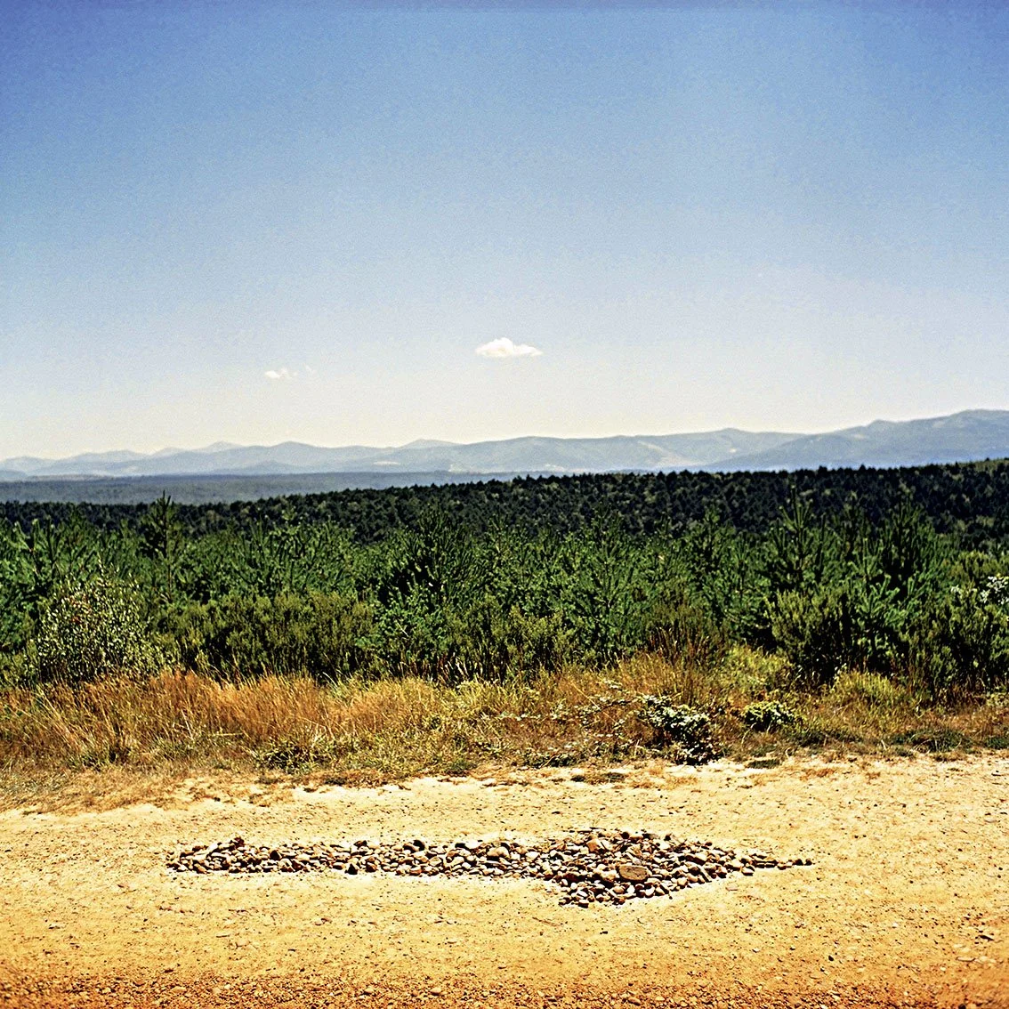 A forest landscape with green trees in front of mountains in the distance, under a blue sky with a few clouds, and a dirt road with a snake-like shape made of stones in the foreground.