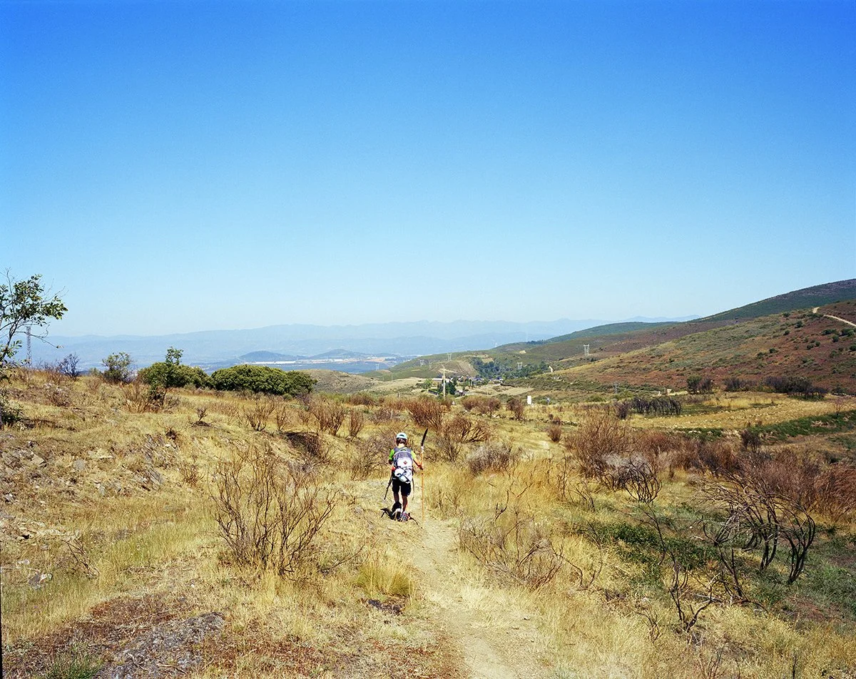 A person hiking alone on a dirt trail through a landscape of meadows and hills under a clear blue sky.