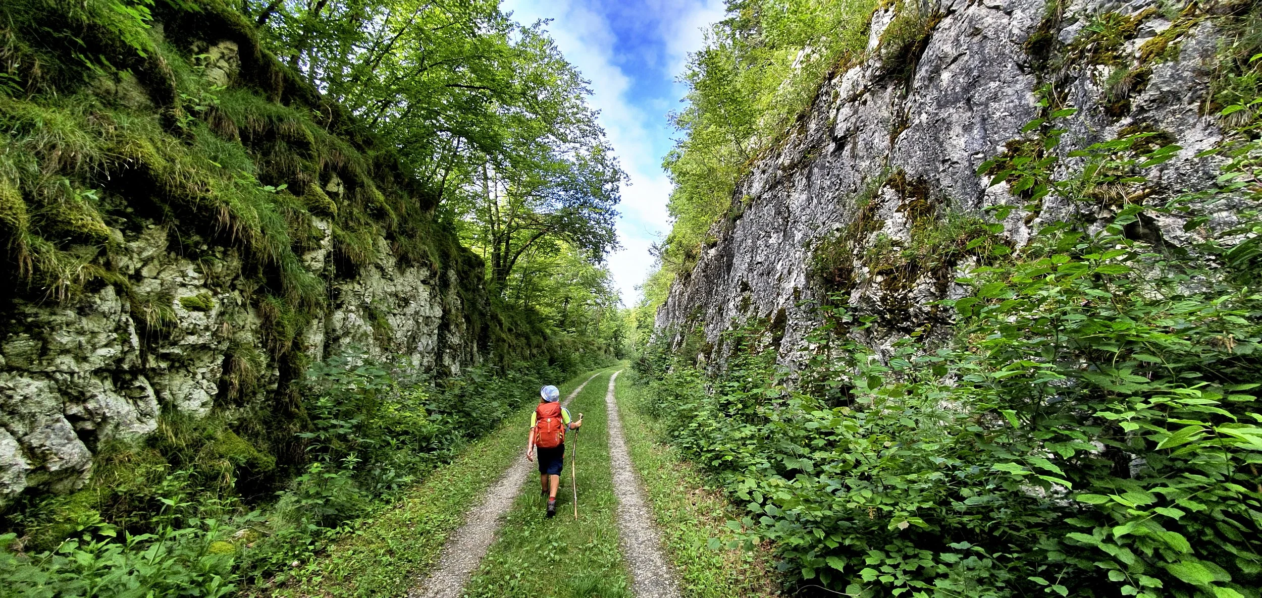 A child with a red backpack walks along a narrow forest path between green, flowery rock cliffs, under a partly cloudy sky.
