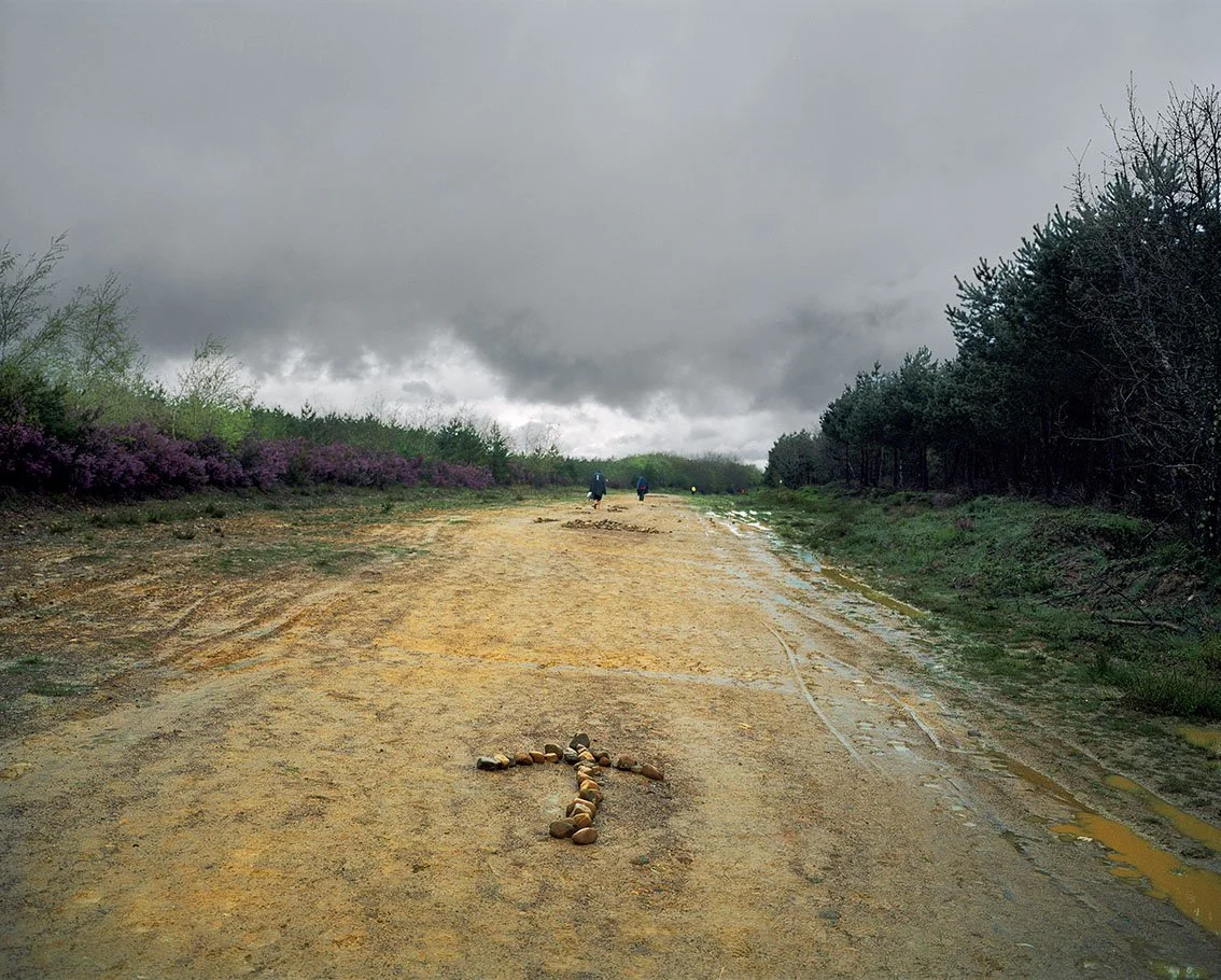 A dirt road with rocks forming an arrow on the ground, under a cloudy sky, with trees and shrubs on either side, two people walking in the distance.