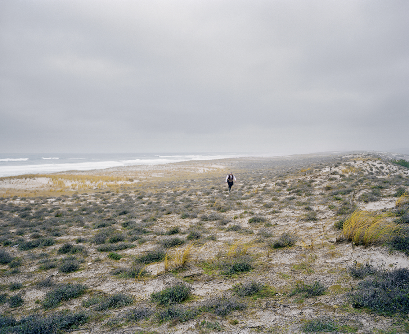 Une personne marchant seul sur une plage de sable avec des herbes sauvages, sous un ciel gris, à proximité de l'océan