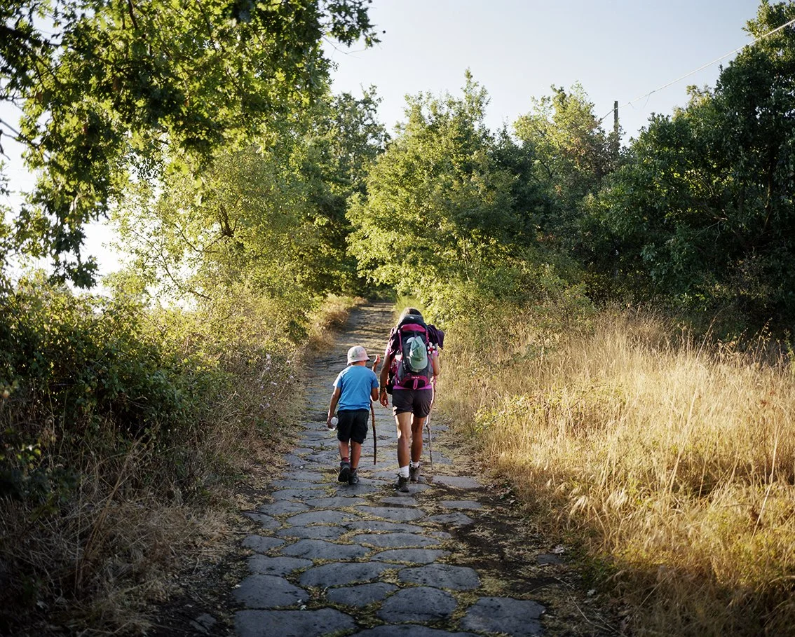 Two people, an adult and a child, walking along a stone path surrounded by dense vegetation and trees under a clear sky.