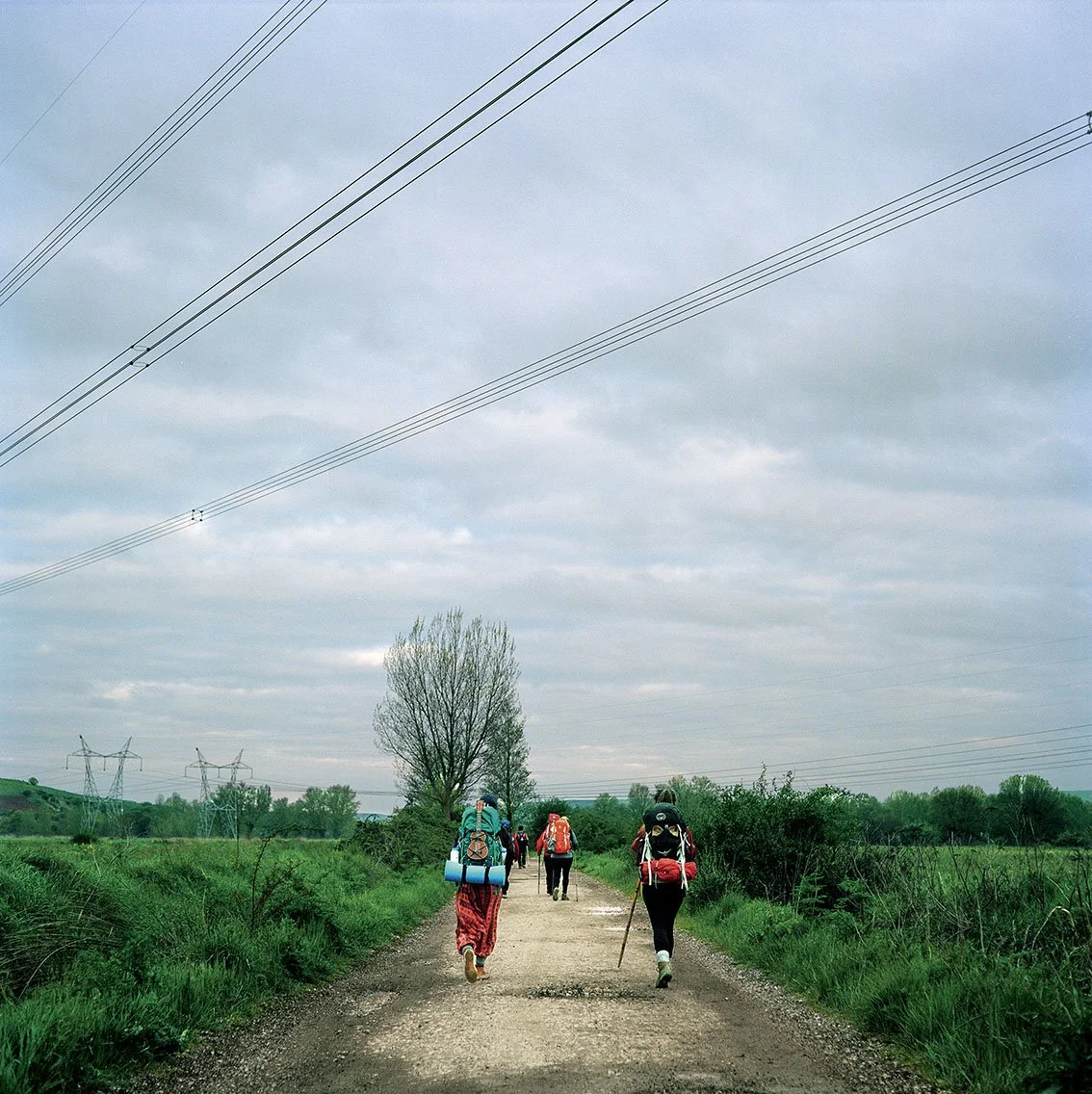 Group of people with backpacks, walking along a country lane surrounded by greenery on a cloudy day.