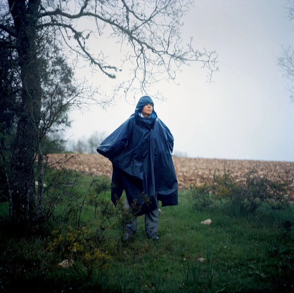 A person wearing a blue coat and hood, standing in a natural landscape with trees and vegetation, on a rainy or foggy day.