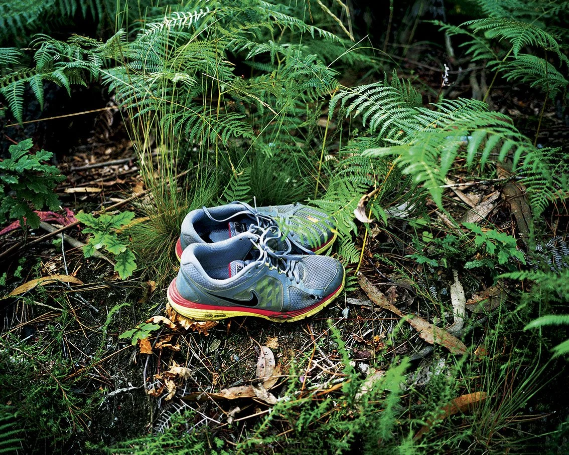 A pair of running shoes on the ground in a forest surrounded by green ferns.