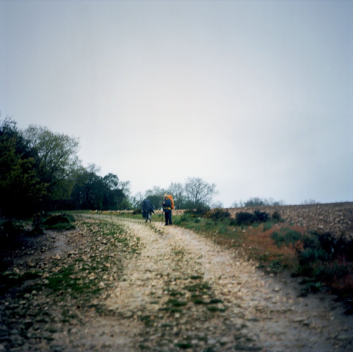 Two hikers walking along a dirt track in a rural landscape with trees and fields, under a gray sky.