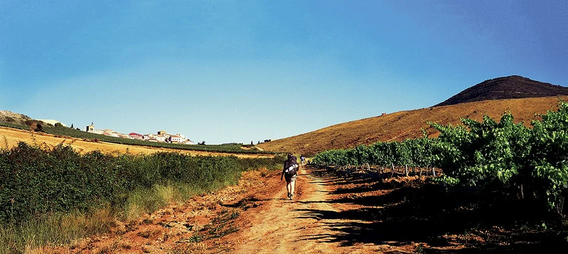 Hiking through a sunny vineyard with hills in the background.