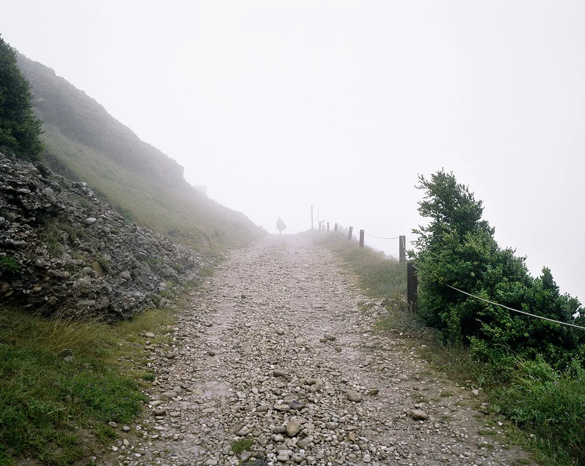 Rocky mountain trail surrounded by trees, shrouded in fog, with a hiker in the distance.