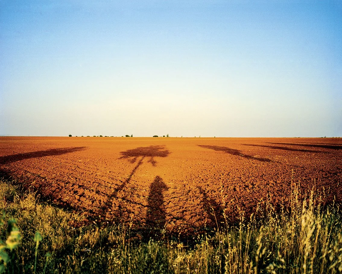 A barren field with a tree casting its shadow on the ground, under a clear blue sky.