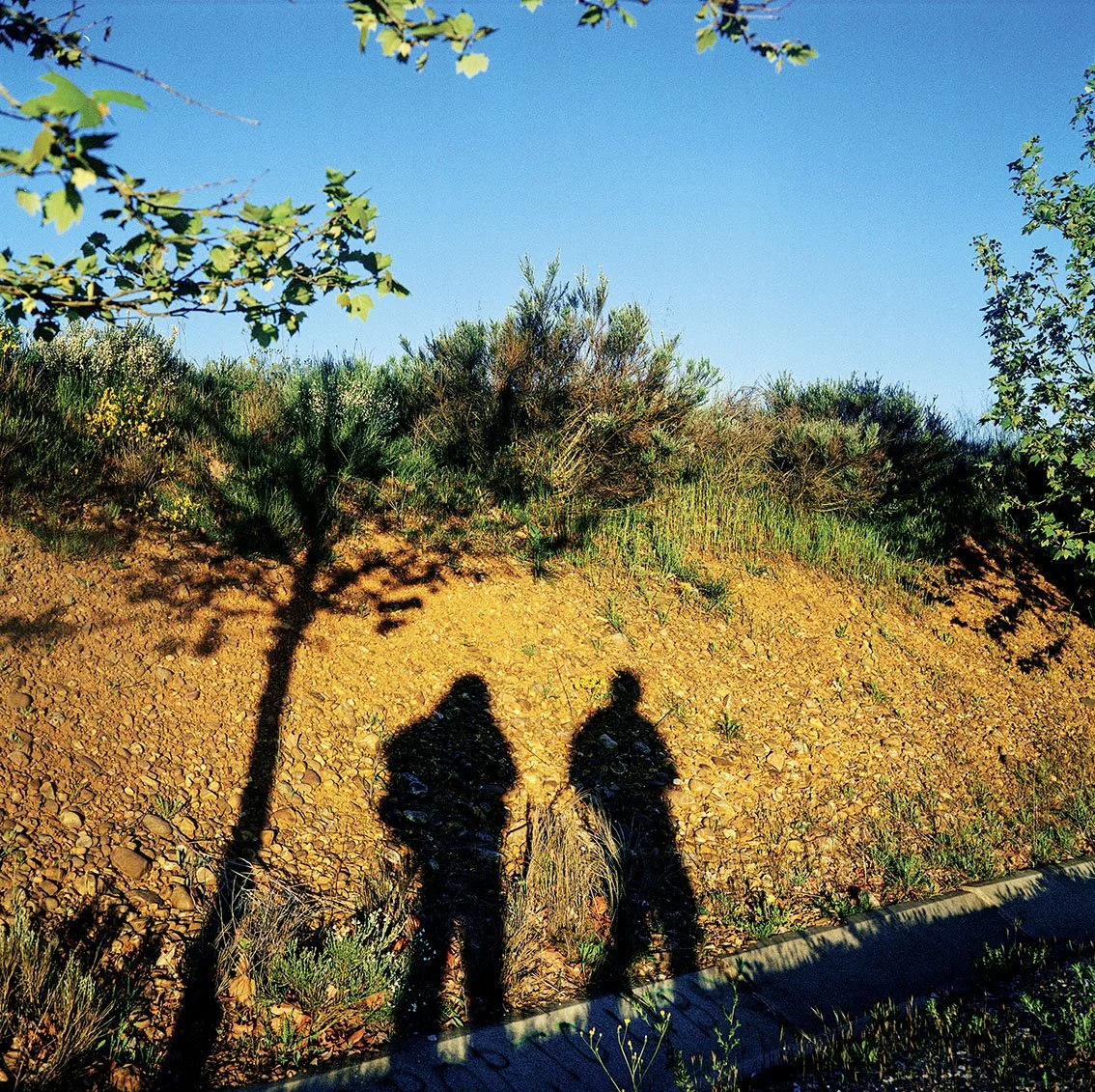 The shadows of two people are projected onto a slope covered with earth and vegetation, with a blue sky in the background.