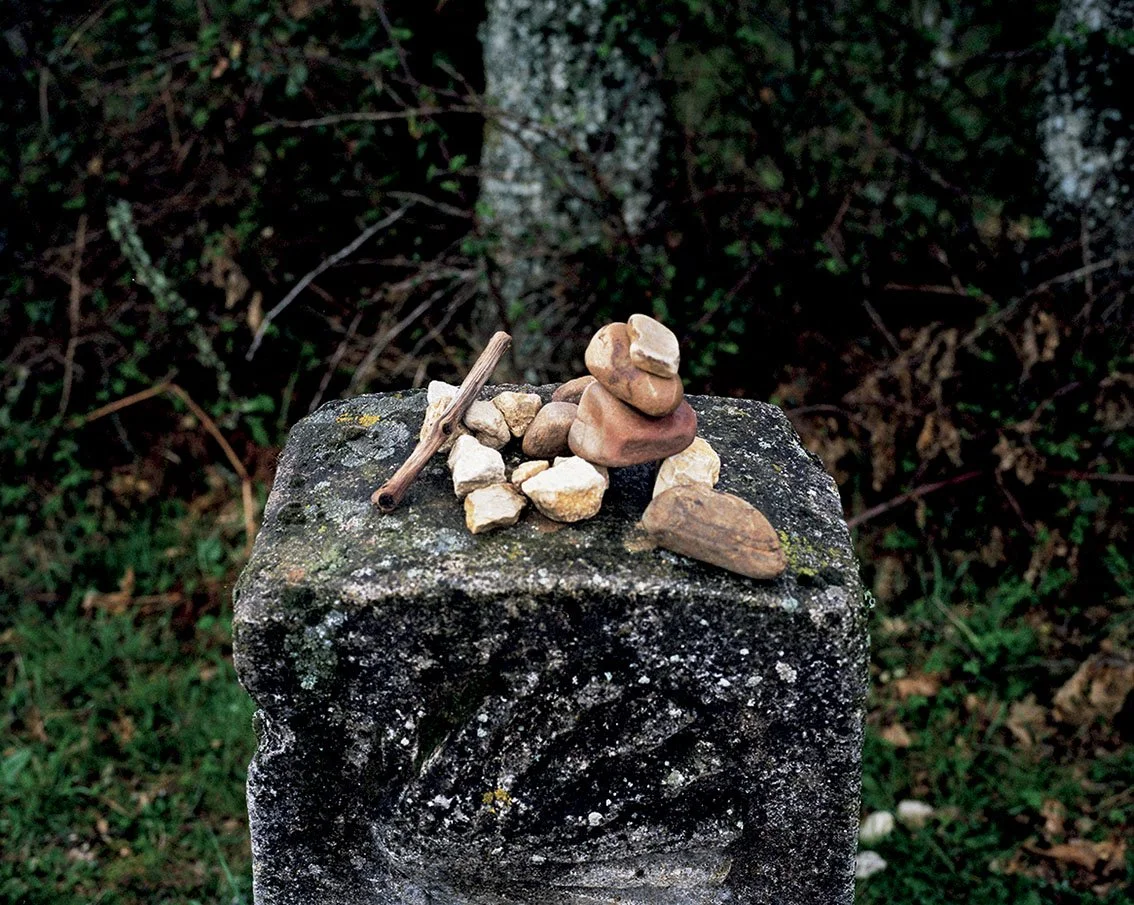 Stone with several small pebbles piled on top, in a natural environment