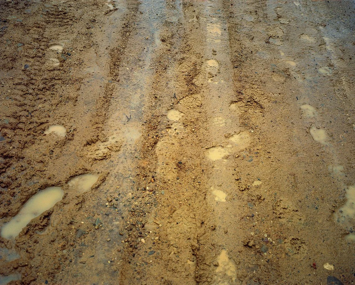Human footprints in damp sand, with footprints.