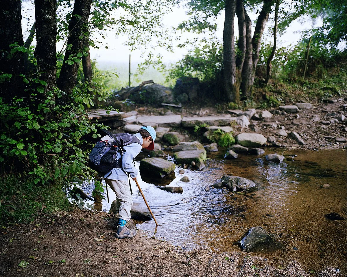 A child with a backpack, using a stick, explores the edge of a small river in a dense forest.