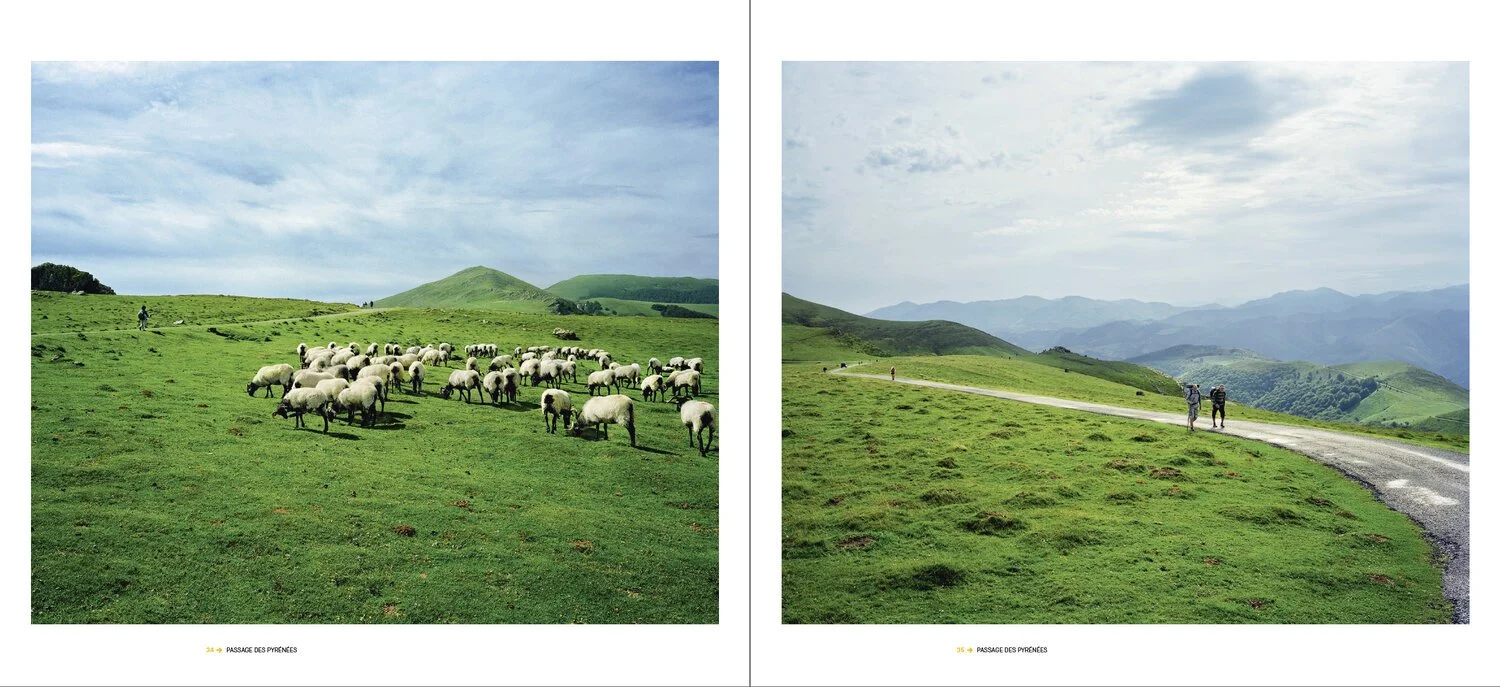 Vaches dans un pâturage verdoyant avec des collines en arrière-plan, ciel partiellement nuageux, et deux personnes marchant sur une route serpentant à travers la campagne.