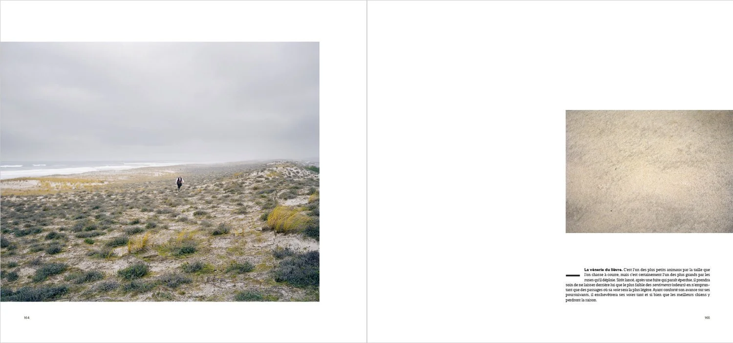 Une personne marche sur une plage venteuse, avec une végétation côtière et un ciel nuageux.