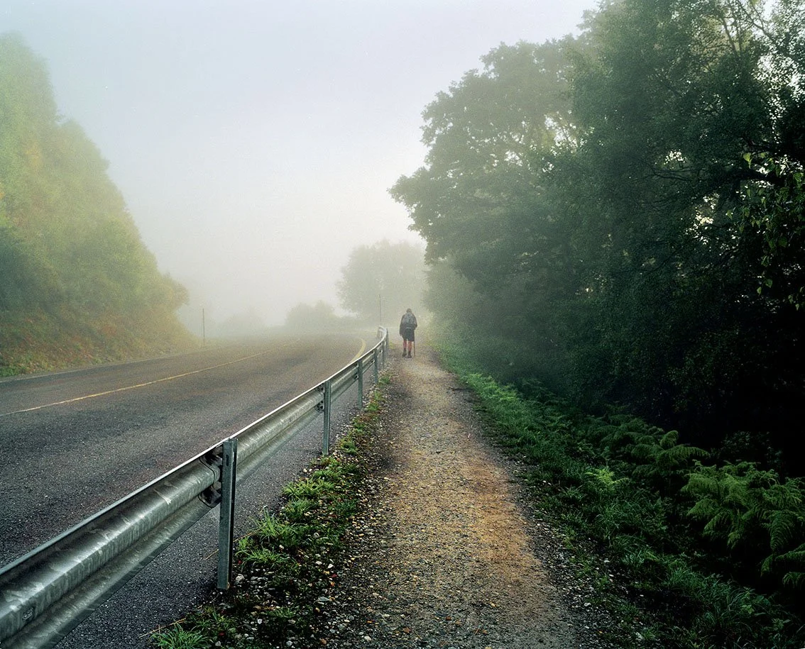 A dirt path lined with green trees, with a person walking in the distance, foggy, next to a tarmac road with a safety barrier.