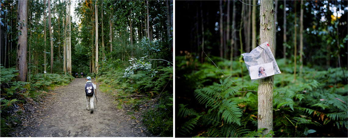 Photo of a forest with paths, showing hikers on a walk. The second image shows a tree with a printed photograph attached to the tree by a rope, in a verdant forest environment.