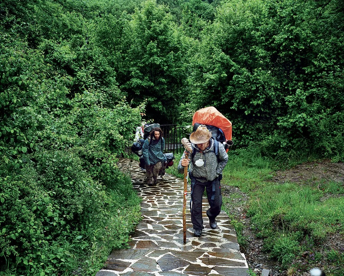 Group of hikers walking along a paved path surrounded by dense green vegetation.