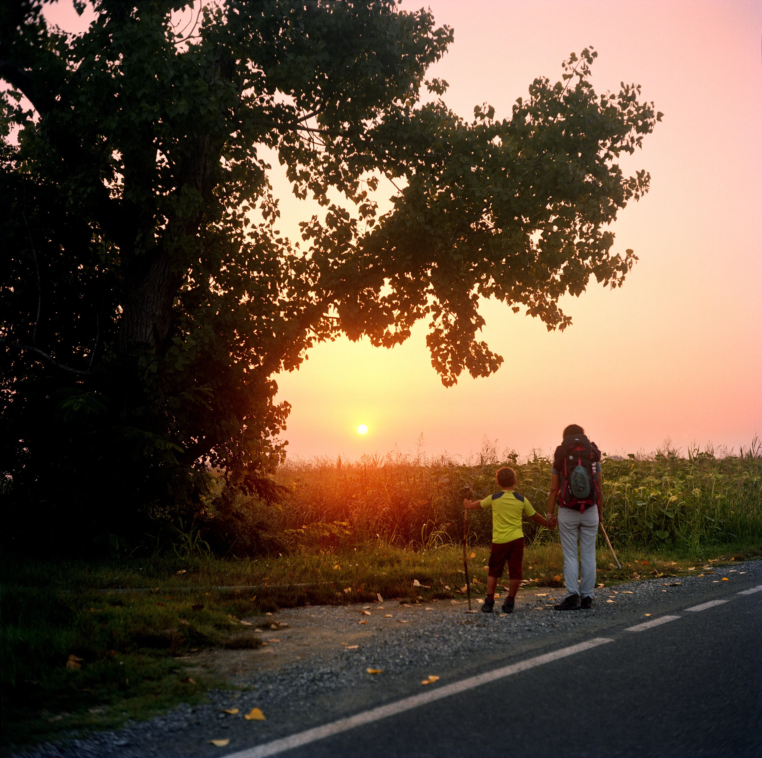 A woman and child walking side by side on the side of a tree-lined road, at sunset, with backpacks and walking sticks.