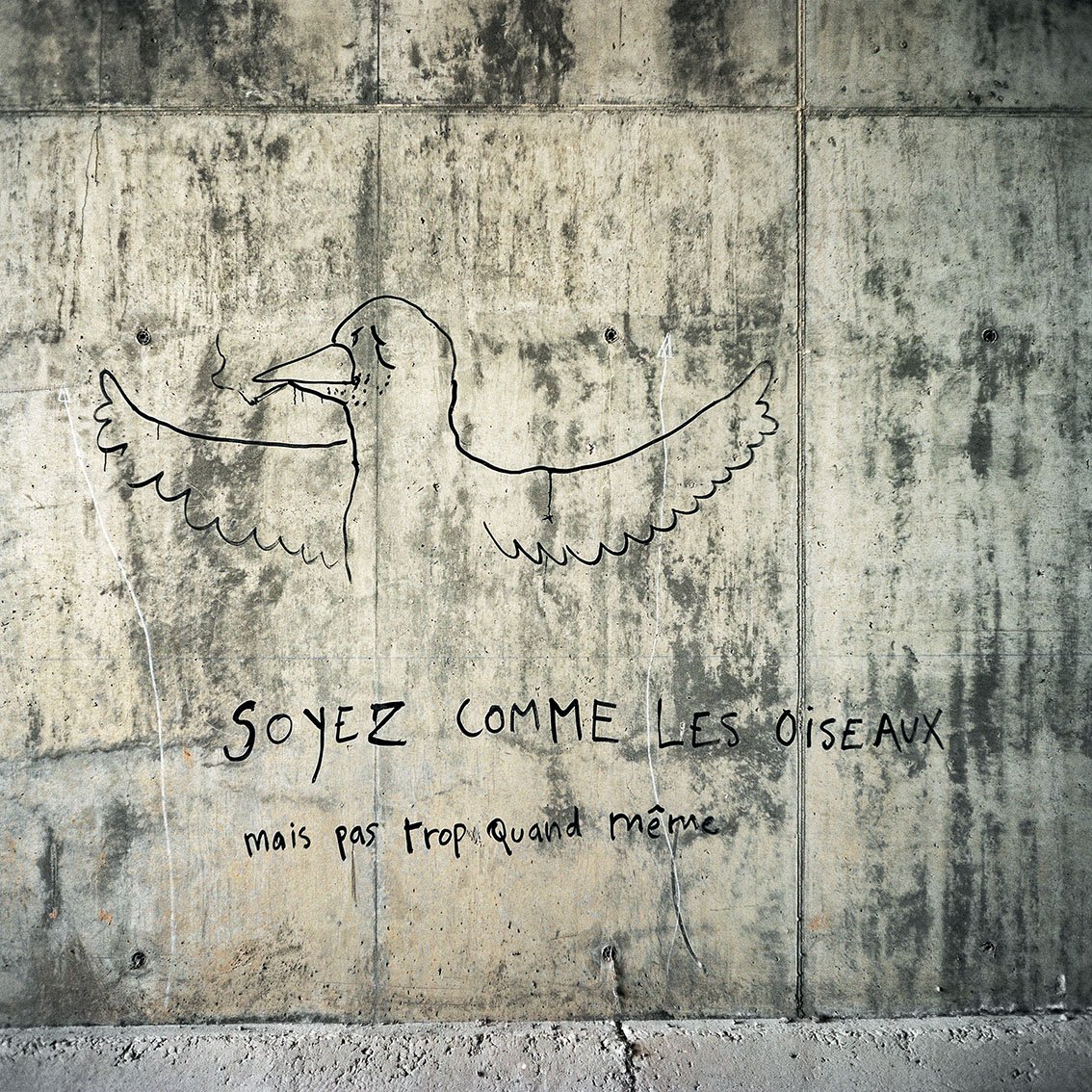 Graffiti depicting a drawing of a bird with its wings spread, accompanied by the French phrase: "Soyez comme les oiseaux mais pas trop quand même" ("Be like the birds, but not too much").