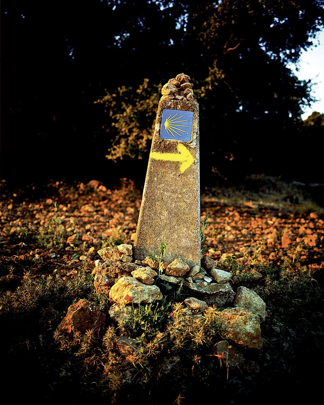 A post marked with a yellow arrow pointing to the left and a blue scallop symbol, indicating the direction of the pilgrimage route. The stones around the post and the natural landscape background.