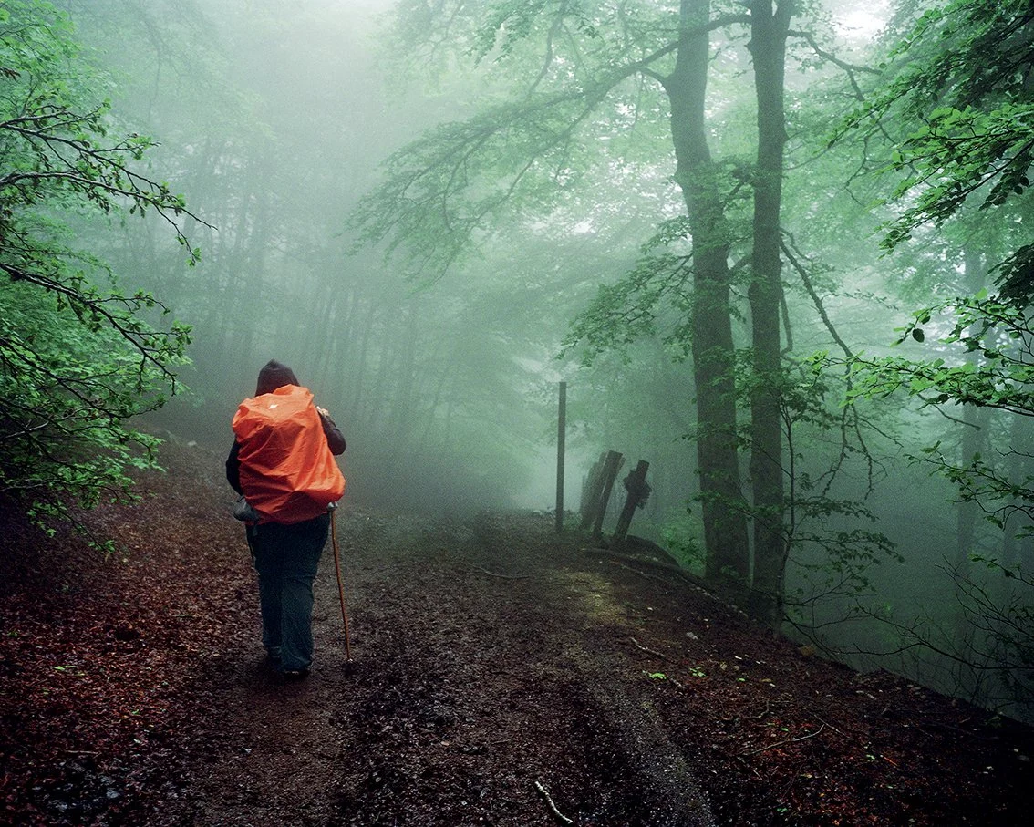 A person walks through a misty forest carrying a large orange backpack and a walking stick, surrounded by green trees and a mysterious atmosphere.