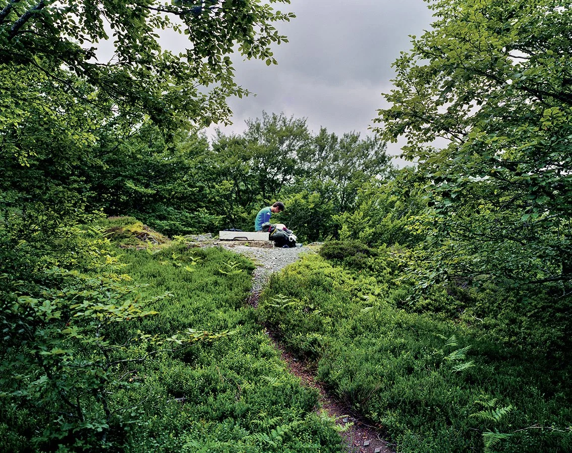A person sitting on a rock at the top of a hill, surrounded by dense vegetation and numerous trees, under a cloudy sky.