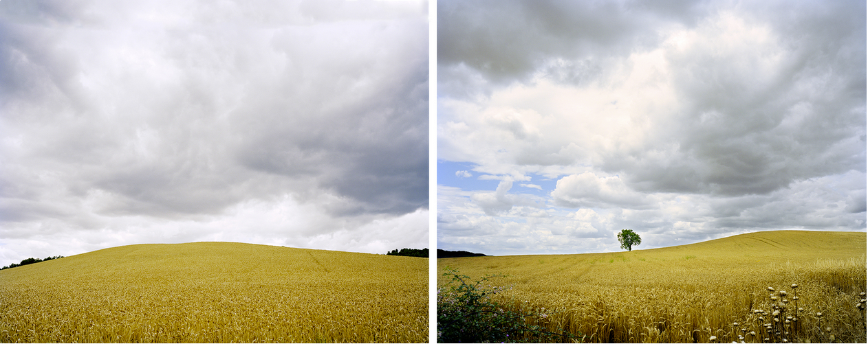 Two side-by-side images of wheat fields under a cloudy sky, the first with a treeless horizon and the second with a solitary tree in the field.