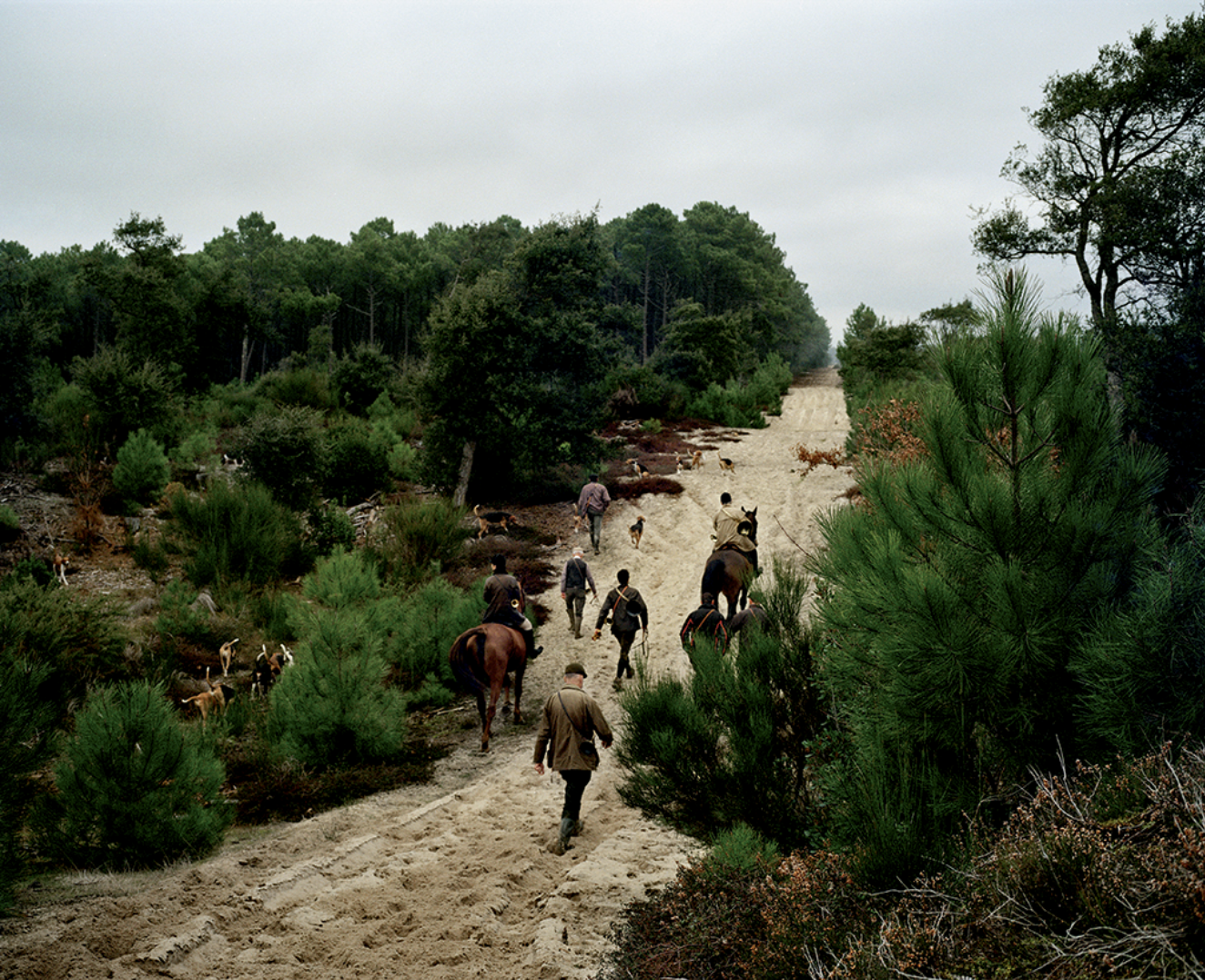 Groupe de personnes à cheval et à pied traversant un sentier de forêt verdoyante pulvinée par des arbres et des buissons, sous un ciel nuageux.