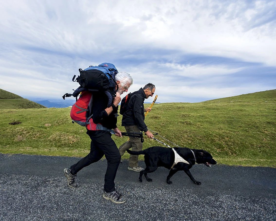 Two men are hiking through a hilly landscape with a guide dog, under partly cloudy skies.