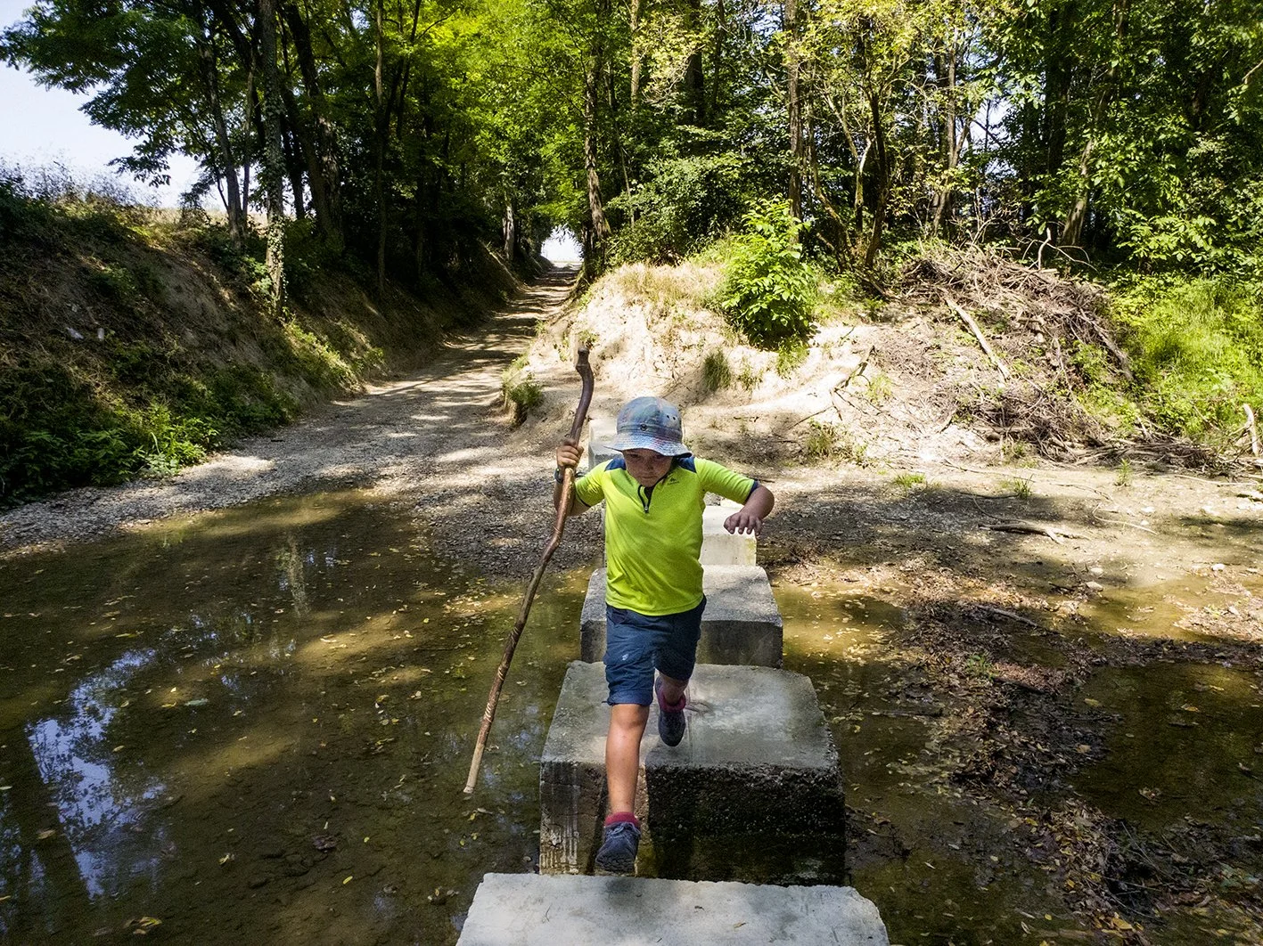 A child crosses a stream on concrete slabs, using a walking stick, in a bright forest on a sunny day.