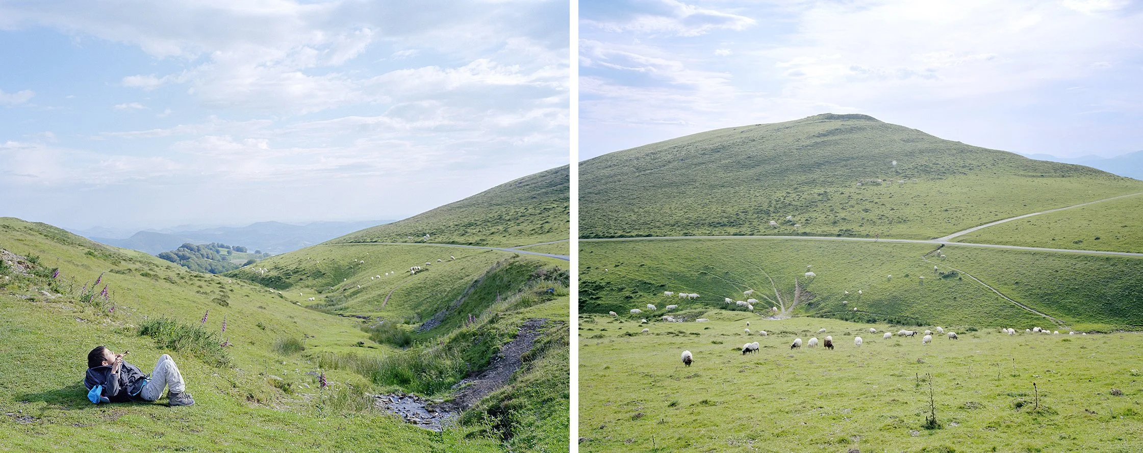 Landscape of green hills with sheep, a person lying on the grass, partly cloudy sky.