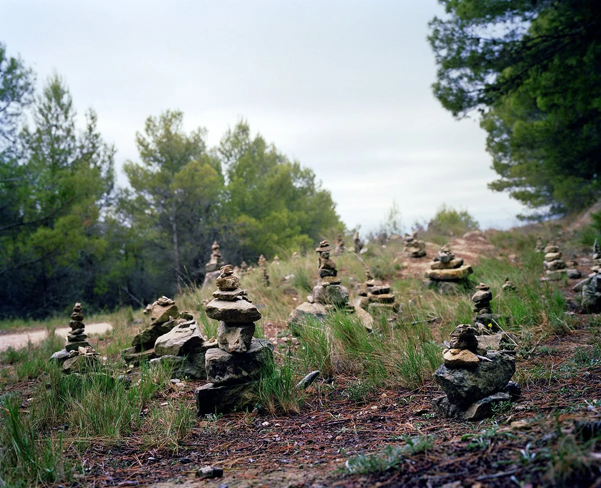 Stacked stone paths in a forest landscape with green trees and a cloudy sky.
