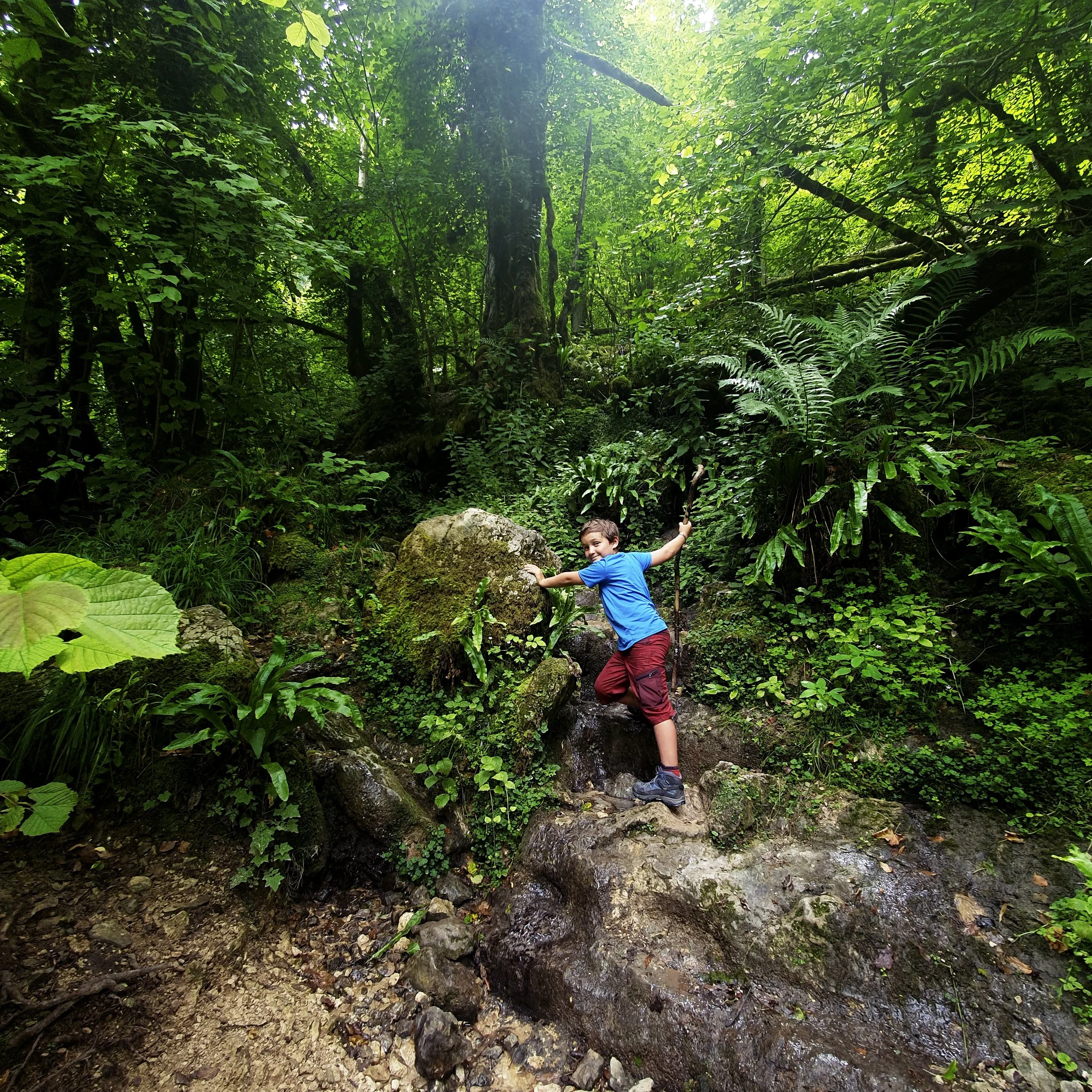 Young boy in a lush forest, climbing a wet rock amid dense greenery.