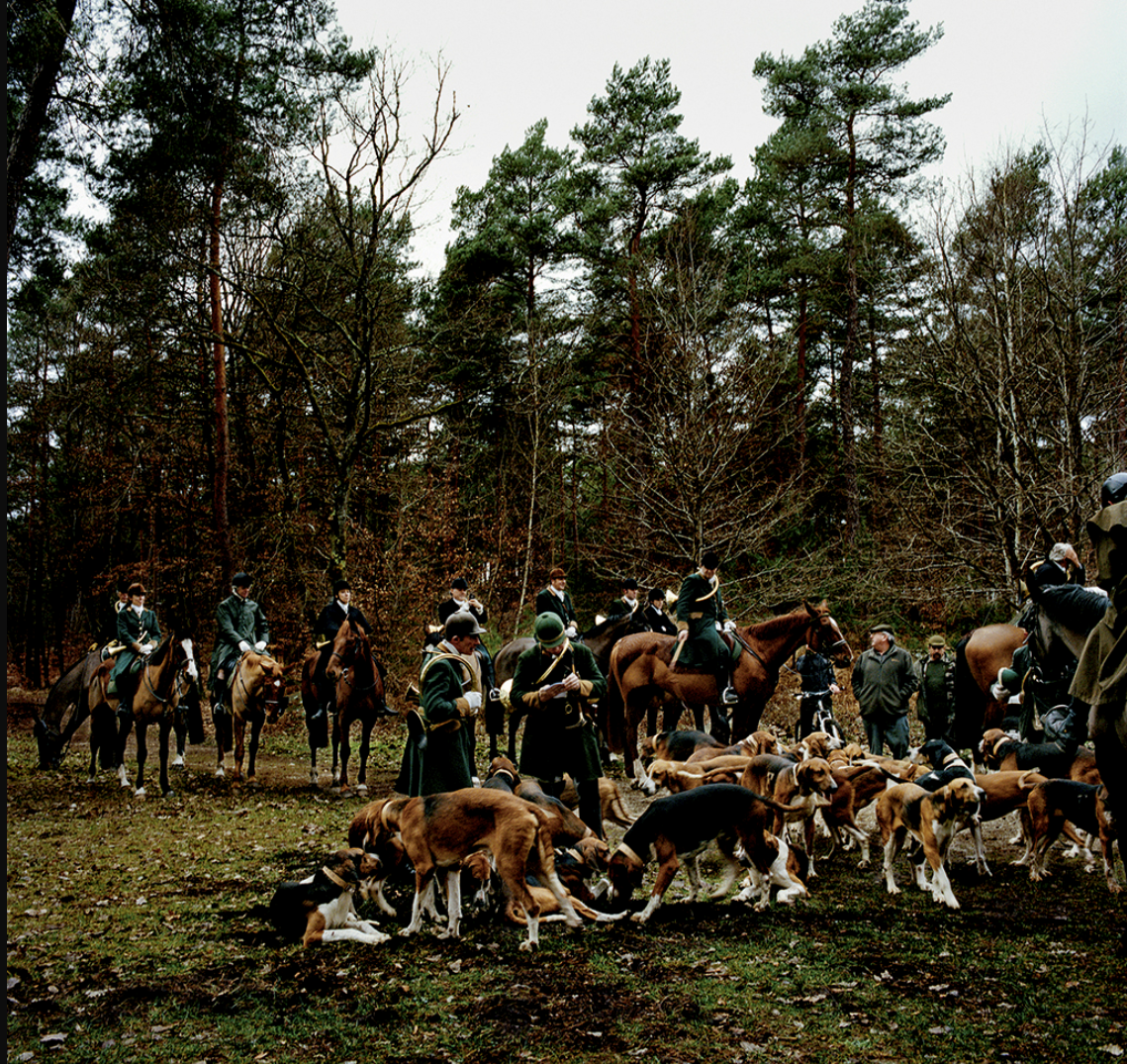 Groupe de personnes à cheval avec de nombreux chiens de traînée dans une forêt. 