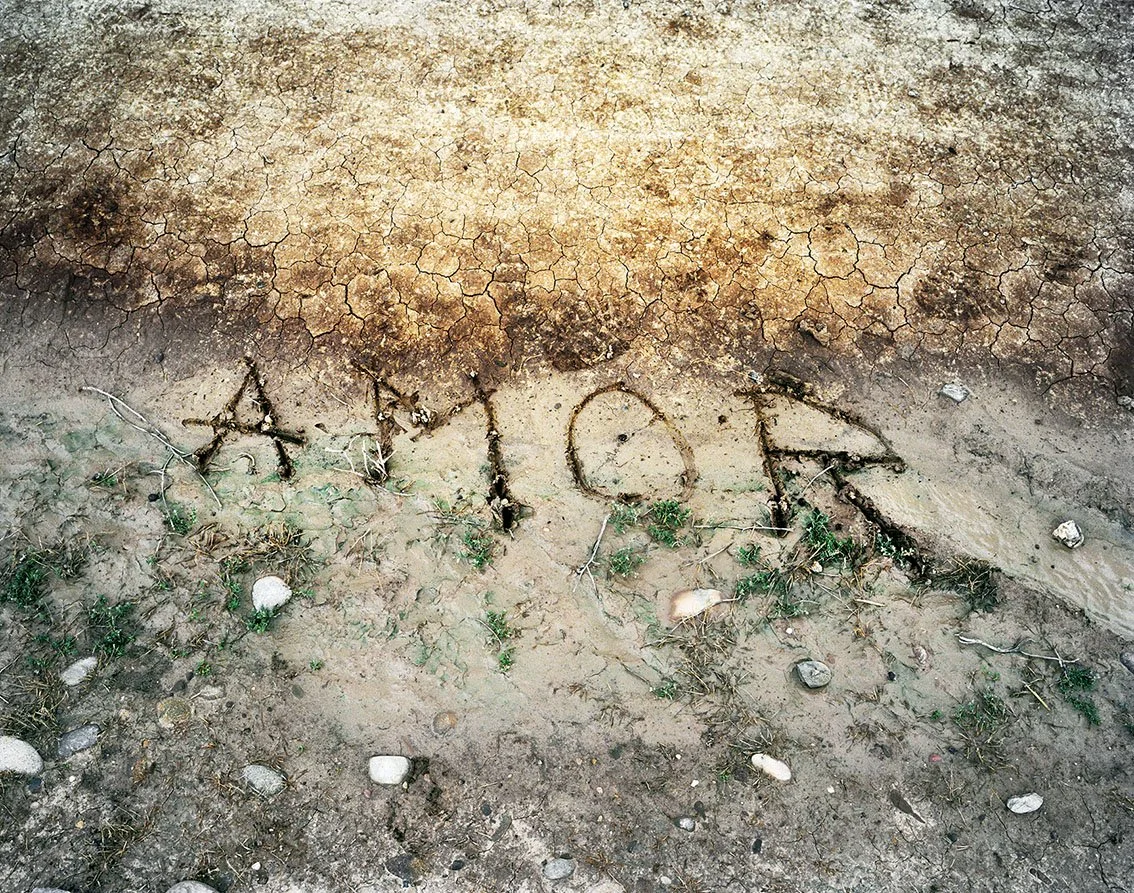 Word in the ground with roots forming the letters A, C, O, R on dry, cracked soil.